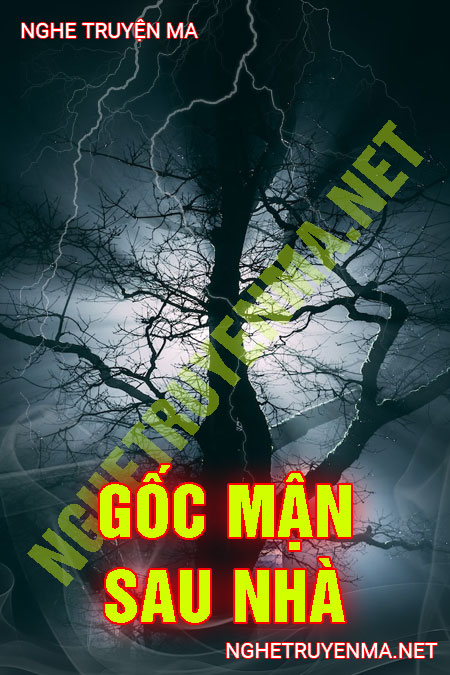Góc Mận Sau Nhà